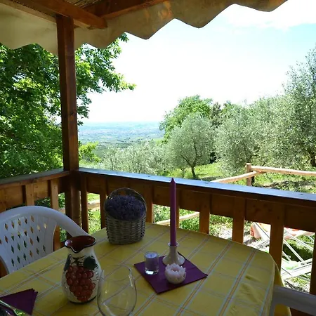 Casa Dalle Olive *