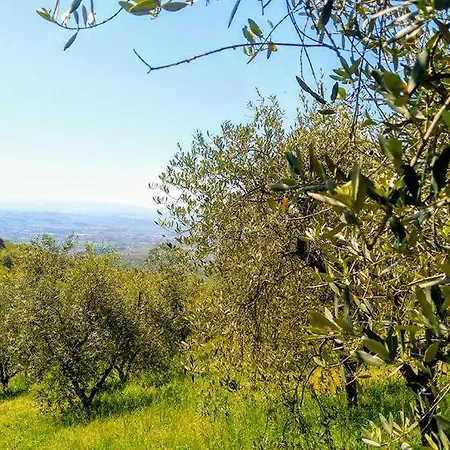 Casa Dalle Olive San Giusto