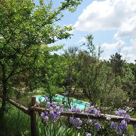Casa Dalle Olive
